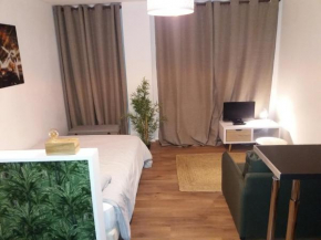 Studio avec terrasse, proche tram